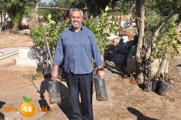 ashjar taso 0328 (41).JPG